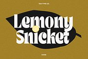 TAN - KIOSK, a Serif Font by TanType (Thumbnail 16 of 16)