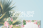 Tropical Romance modern floral rose, an Illustration by January Bloom (Thumbnail 18 of 29)