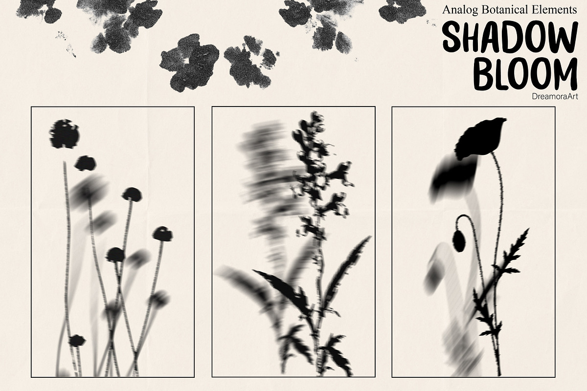 Shadow Bloom Analog Botanical PNG, an Object Graphic by DreamoraArt (Photo 8 of 10)