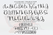 Wings, a Handwritten Font by FreshTypeINK (Thumbnail 8 of 8)