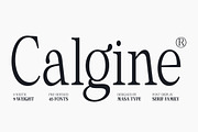 Calgine Serif, a Serif Font by MasaType (Thumbnail 1 of 12)