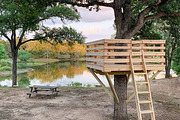Tree Fort Plans, an Object Graphic by elevatedspaces (Thumbnail 1 of 10)