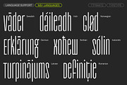 TT Frantz, a Sans Serif Font by TypeType (Thumbnail 7 of 12)