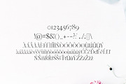 Jaavon Serif Font Family, a Serif Font by Creativetacos (Thumbnail 3 of 6)