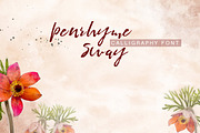 Penrhyme Calligraphy Font, a Script Font by alphadesign (Thumbnail 2 of 6)