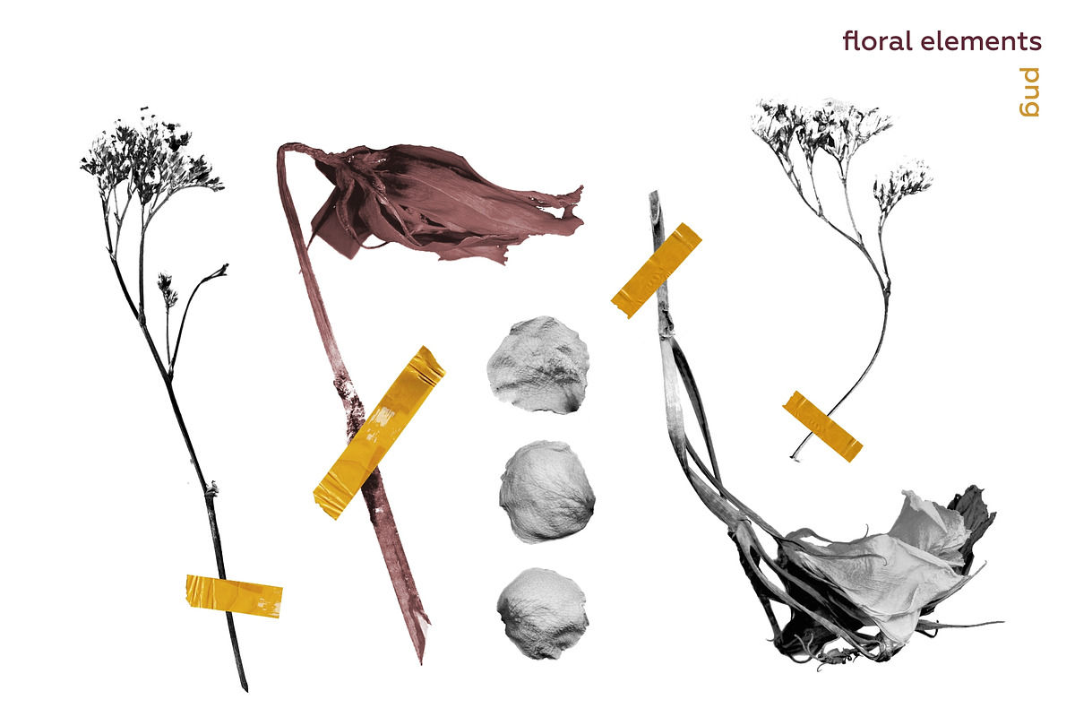 Abstraction collage floral bundle., an Object Graphic by lisa_kalev (Photo 13 of 24)