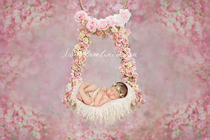 Newborn Photography Digital Backdrop