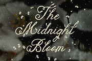 The Blooming Hour Botanical Script, a Script Font by AnMark (Thumbnail 9 of 12)