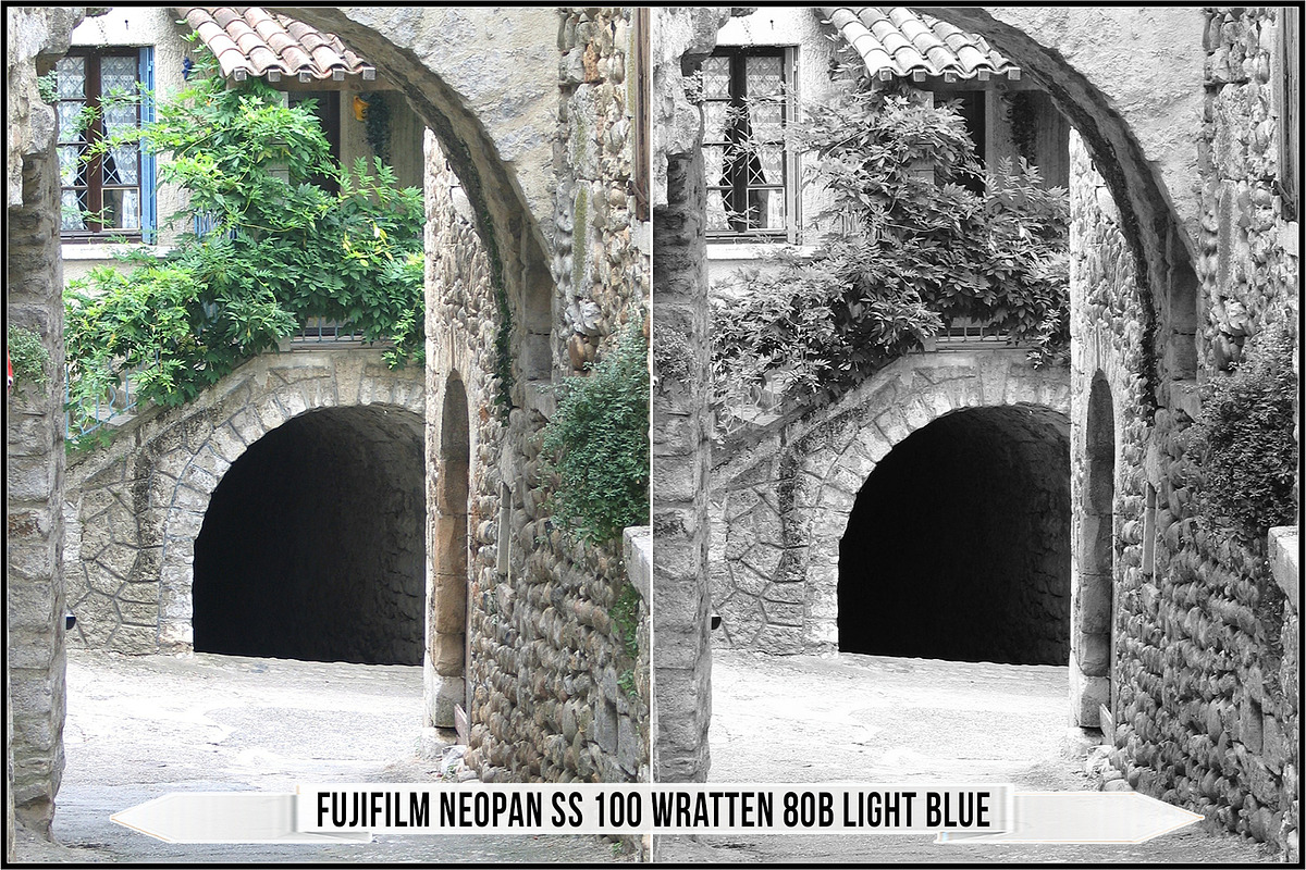 Fujifilm Black and White Film LUTs, a Plug-in Add-On by Raztrend (Photo 26 of 30)
