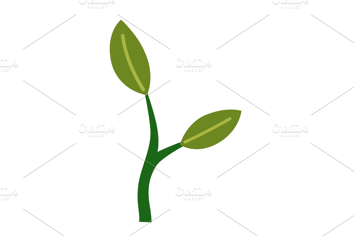 Life cycle of lemon tree. Vector, an Object Illustration by the8monkey