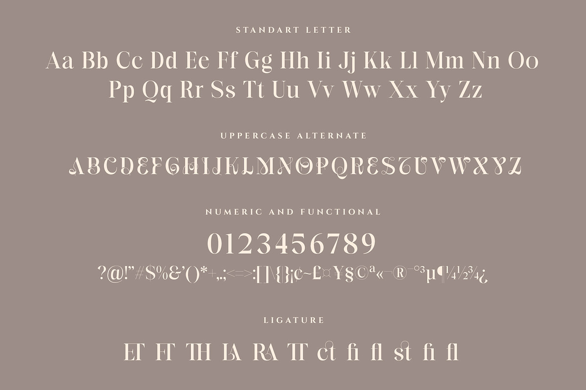 Branela Experiemental Serif font, a Serif Font by RantautypeStudio (Photo 14 of 15)
