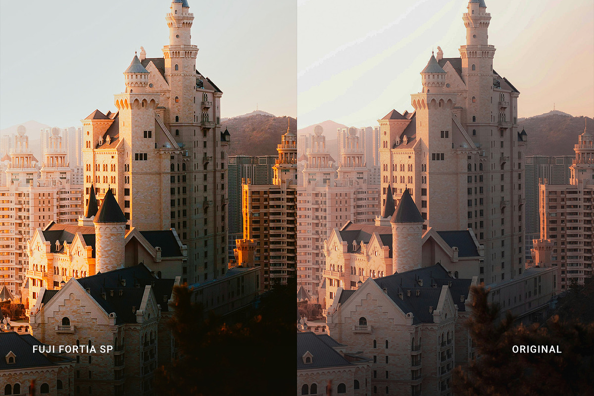 Fuji Fortia SP, a Preset Add-On by colorituals (Photo 6 of 8)