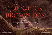 Realico Font, a Font by Digitype Studio (Thumbnail 7 of 10)
