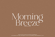 Shoreline - Elegant & Classic Serif, a Serif Font by Misha Sova (Thumbnail 4 of 8)