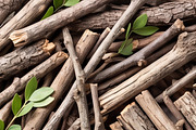 Twigwood Font, a Sans Serif Font by Handmadefont (Thumbnail 6 of 12)