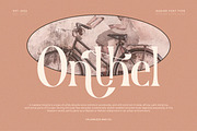 Nadier - Classic Retro Typeface, a Serif Font by Flawless And Co (Thumbnail 4 of 12)