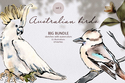 Australian birds. set 1