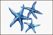 Watercolor Starfish Nautical Clipart, an Illustration by Sublimation Artist (Thumbnail 3 of 6)