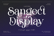 Sangect Display, a Serif Font by Pista Mova (Thumbnail 1 of 12)