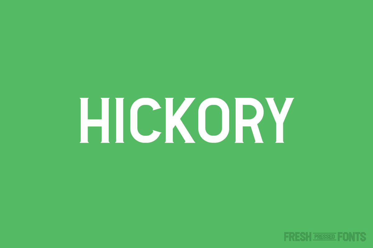 Fresh Pressed Fonts Bundle-75% OFF!, a Font by Fresh Pressed Fonts (Photo 9 of 15)