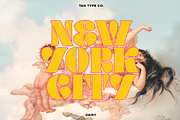 TAN - DAISY, a Serif Font by TanType (Thumbnail 4 of 14)