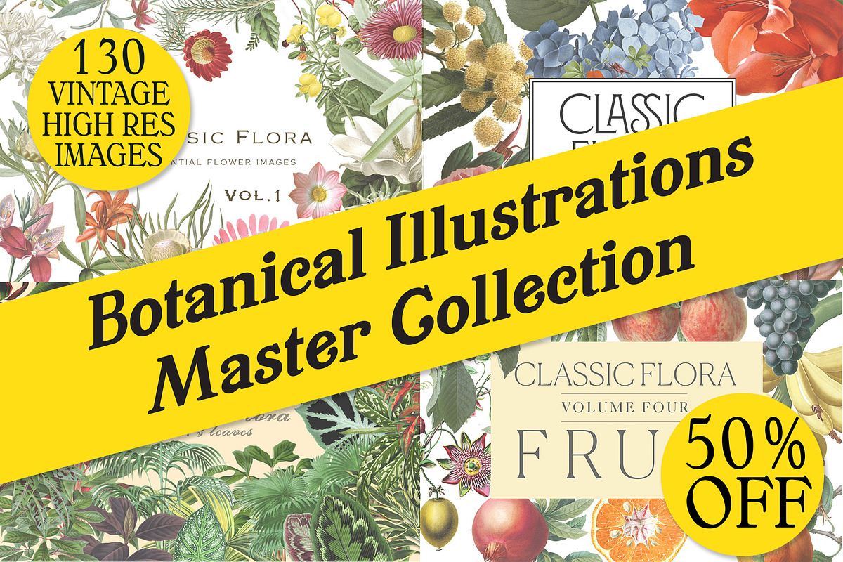 Botanical Master Collection, a Food Illustration by BlackBird Foundry (Photo 1 of 10)