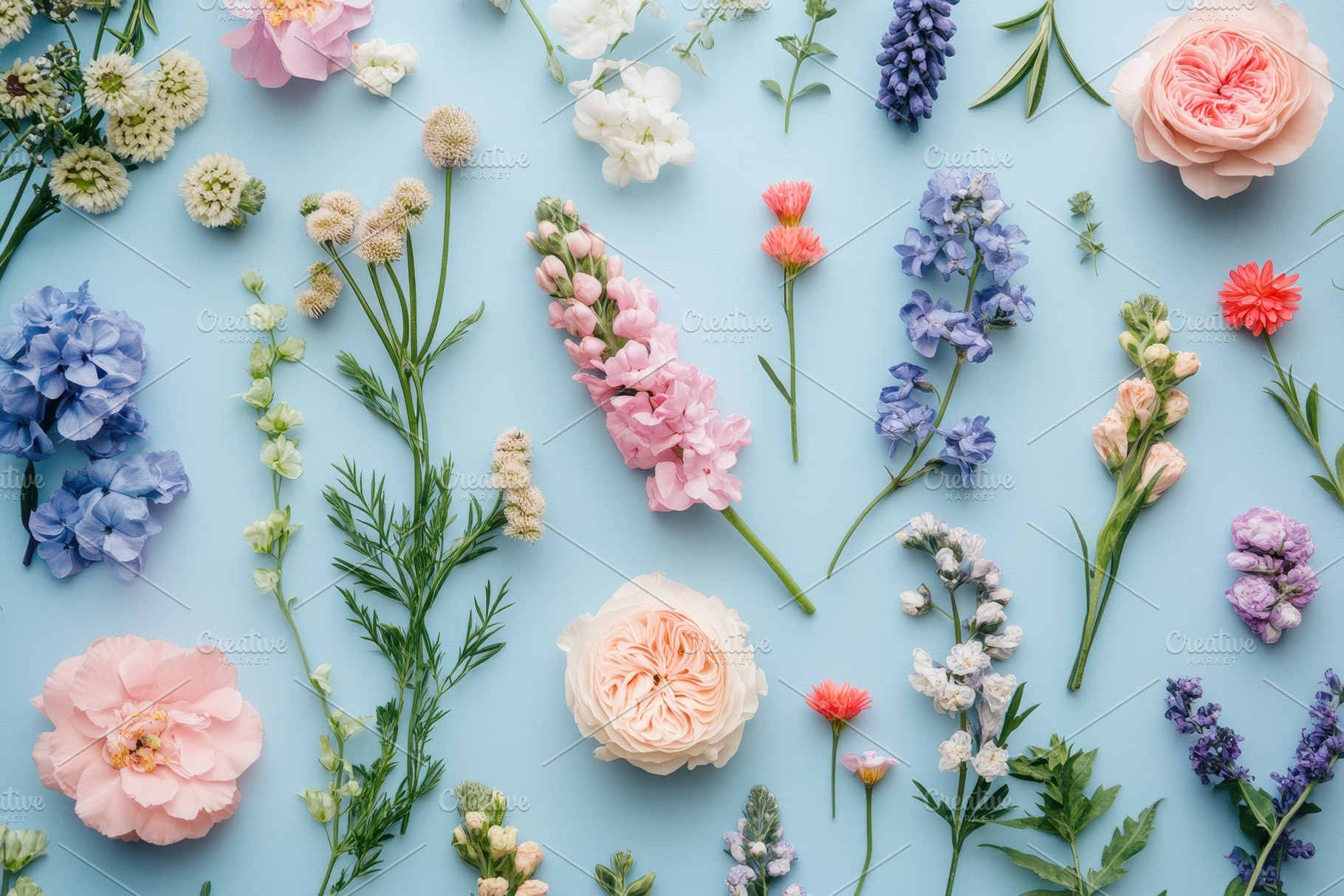 Creative floral layout with a variet, a Photo by Pavel_design