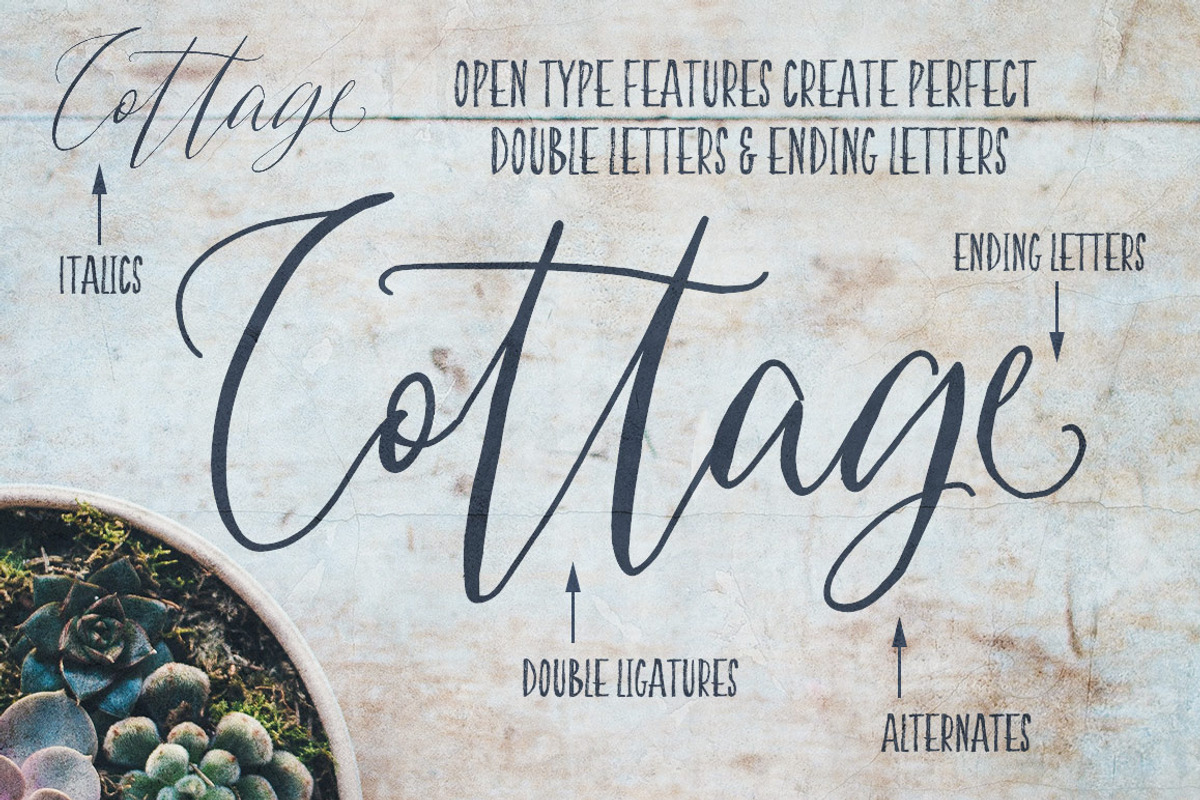 Indulgence Script Font Duo preview 3