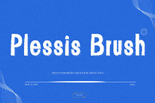 Plessis Brush Display Font