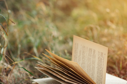 The old book lies on the grass in th featuring book, old, and selective focus, a School & Education Photo by PavelKant