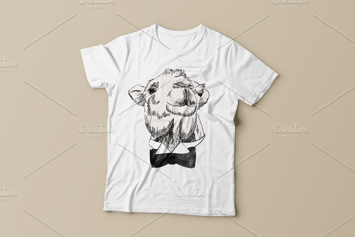 Fashion camel set, an Animal Illustration by TaPilipa (Photo 5 of 5)