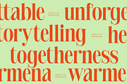 Delivery Feedback Modern Serif, a Serif Font by timelesstype.co (Thumbnail 12 of 20)