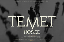 Temet Nosce - Serif font family