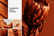Warm Earth | 290 Earth Tone Photos, a Nature Photo by Tale.Haus (Thumbnail 3 of 18)
