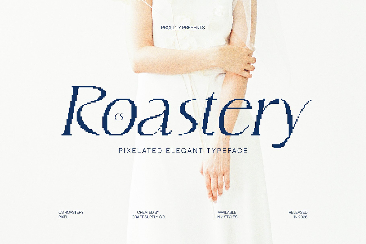 CS Roastery Pixel, a Serif Font by Craft Supply Co. (Photo 1 of 8)