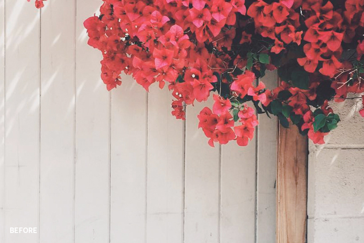 30 Instagram Filters ACR & ATN, an Action Add-On by ShutterPro (Photo 3 of 76)