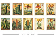 Vintage Garden Packets, a Seasonal Illustration by karenfoleyphoto (Thumbnail 4 of 15)