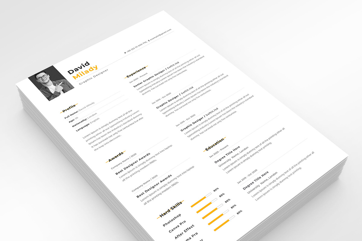 Professional Resume Template, a Resume Template by PicoartBd (Photo 3 of 4)
