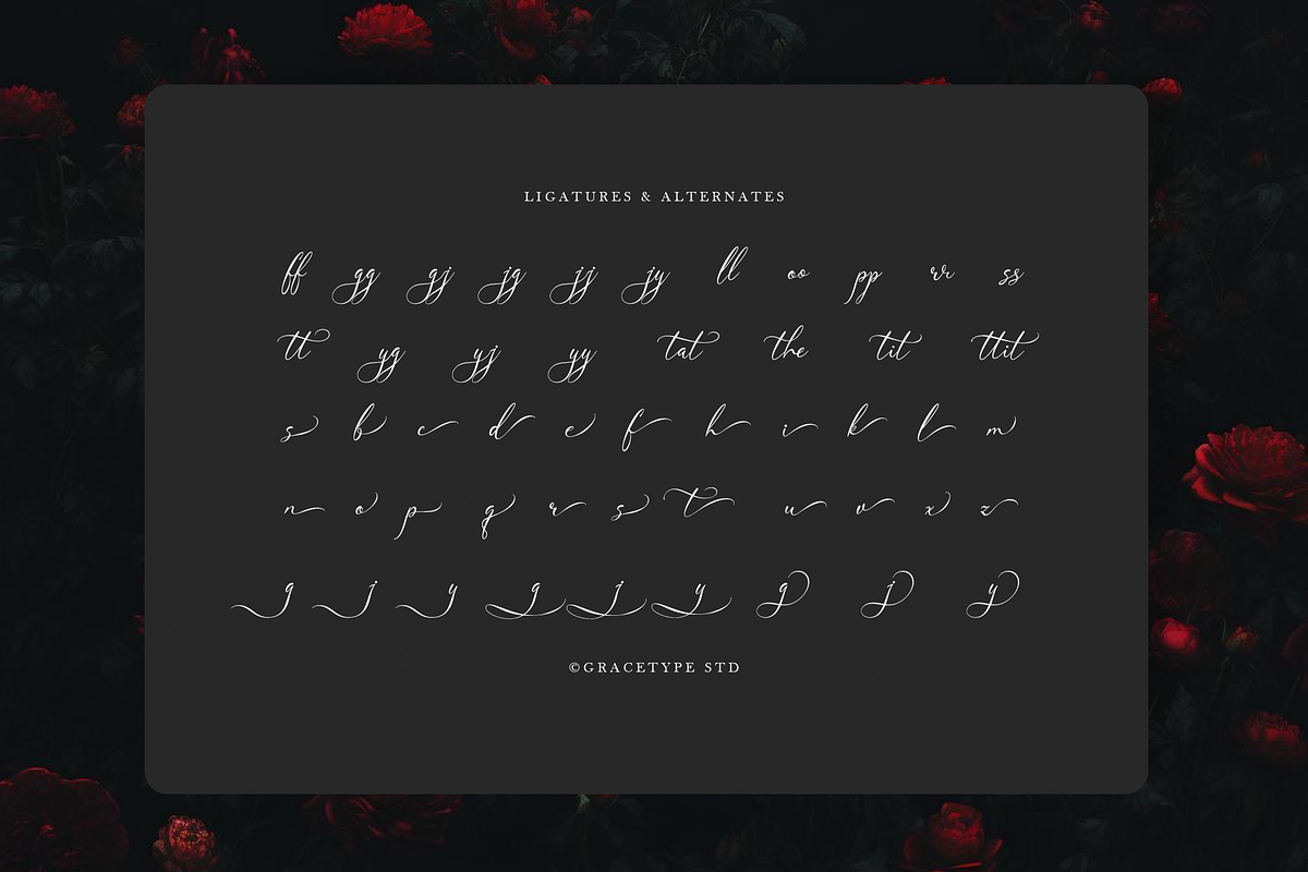Avilantery Elegant Calligraphy, a Script Font by gracetype_studio (Photo 12 of 12)