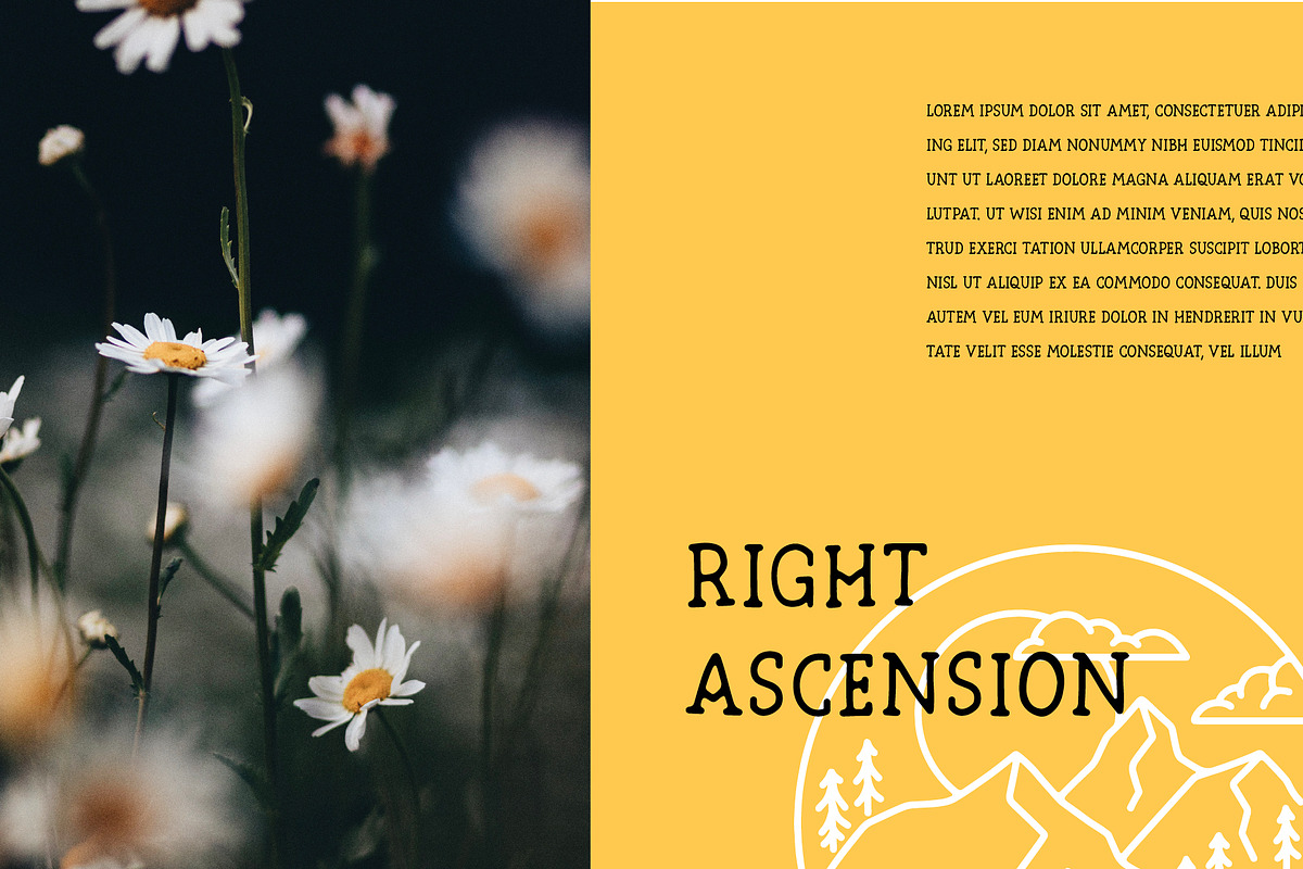 North Star | Vintage Slab Serif, a Slab Serif Font by Beveled Design Co. (Photo 5 of 10)