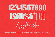 Black Bolder - Modern Serif Font, a Serif Font by HanzelSpace Studio (Thumbnail 10 of 10)