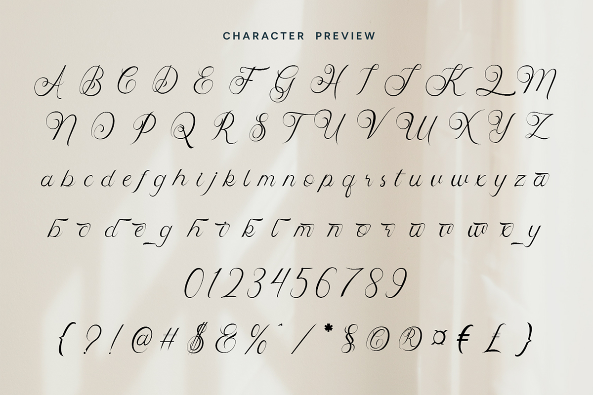 Skipten - Script Handwritten Font, a Script Font by Pekotype (Photo 2 of 11)