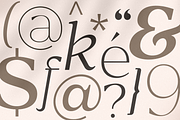 Rosan Serif - Cinematic Serif Font, a Serif Font by Hamz Studio (Thumbnail 2 of 16)