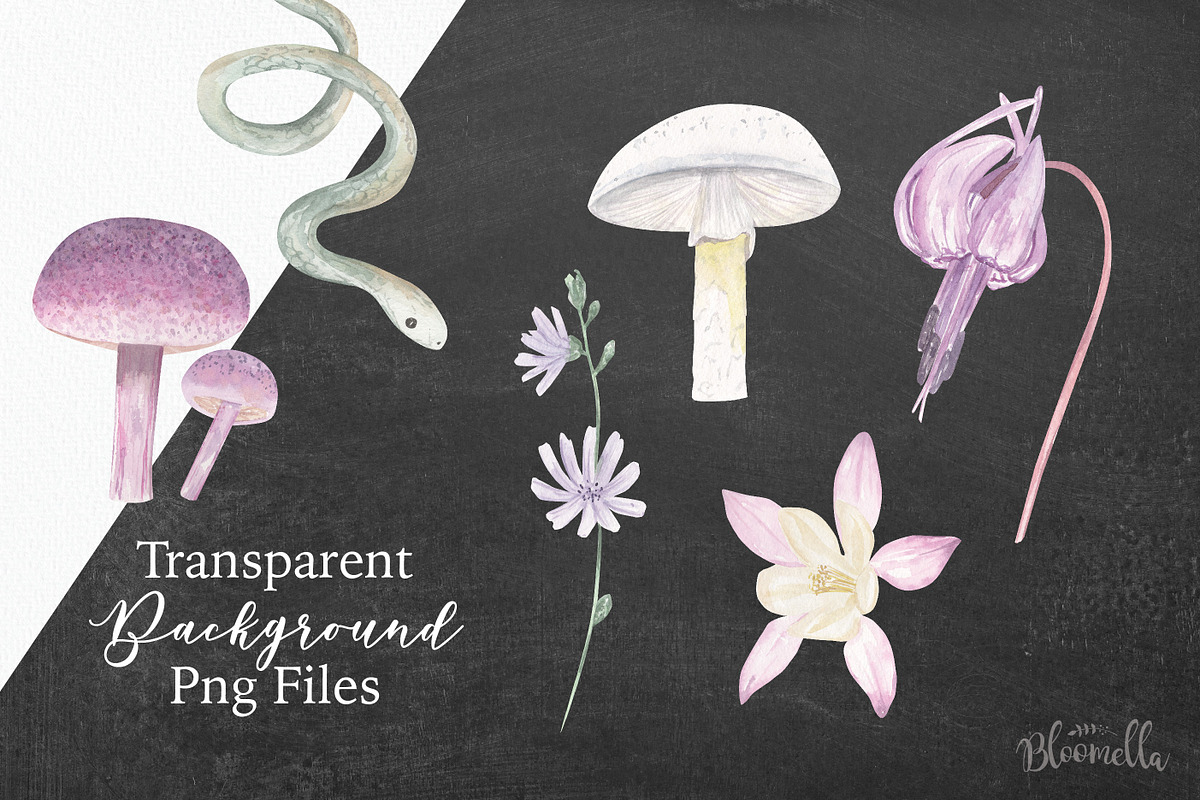 Cosmic Florals Celestrial Magical, a Decorative Illustration by Bloomella (Photo 4 of 4)