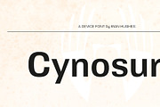 Cynosure, a Sans Serif Font by Device (Thumbnail 5 of 8)