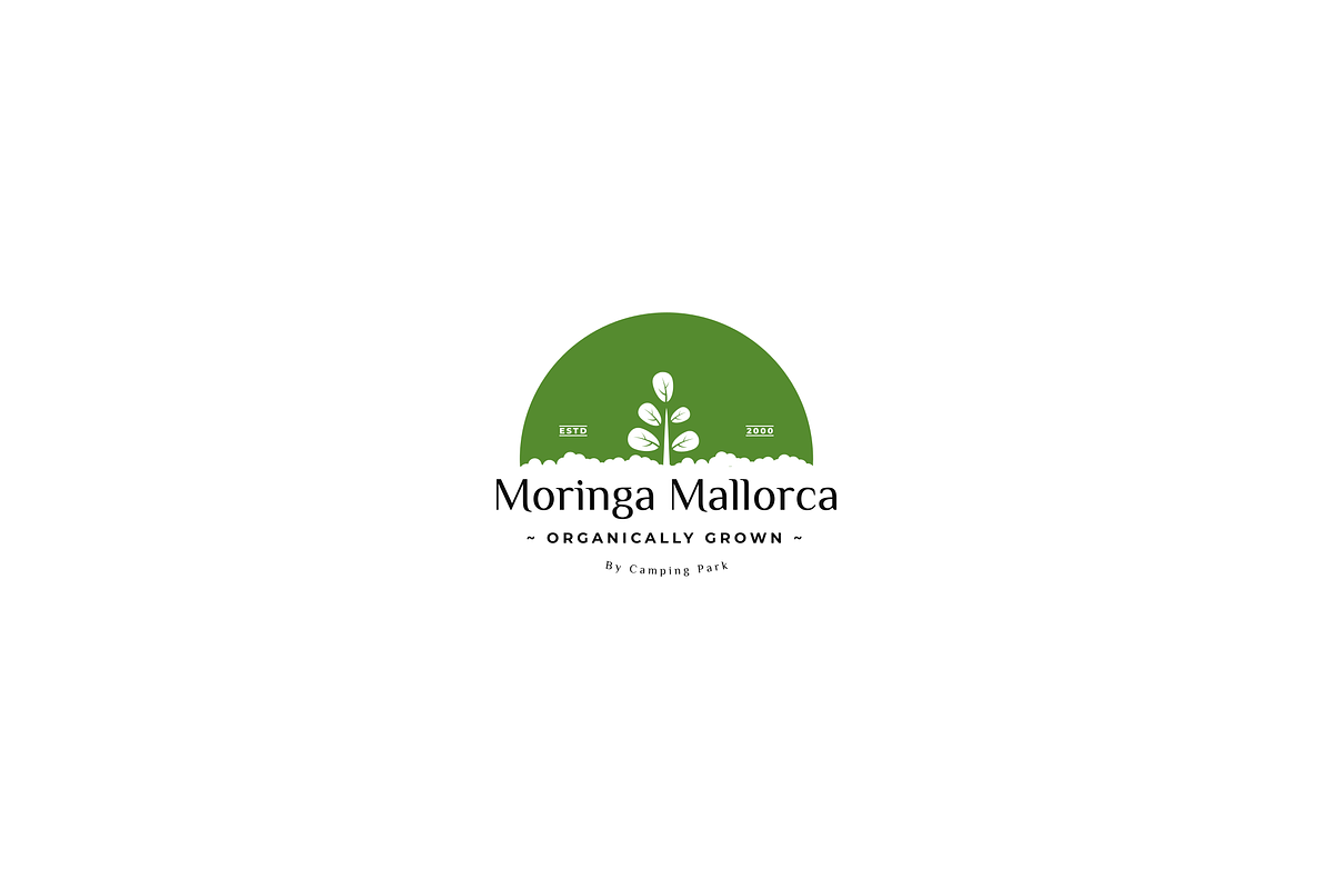 Moringa Leaf Logo, a Branding & Logo Template by zuhudsgn (Photo 1 of 3)