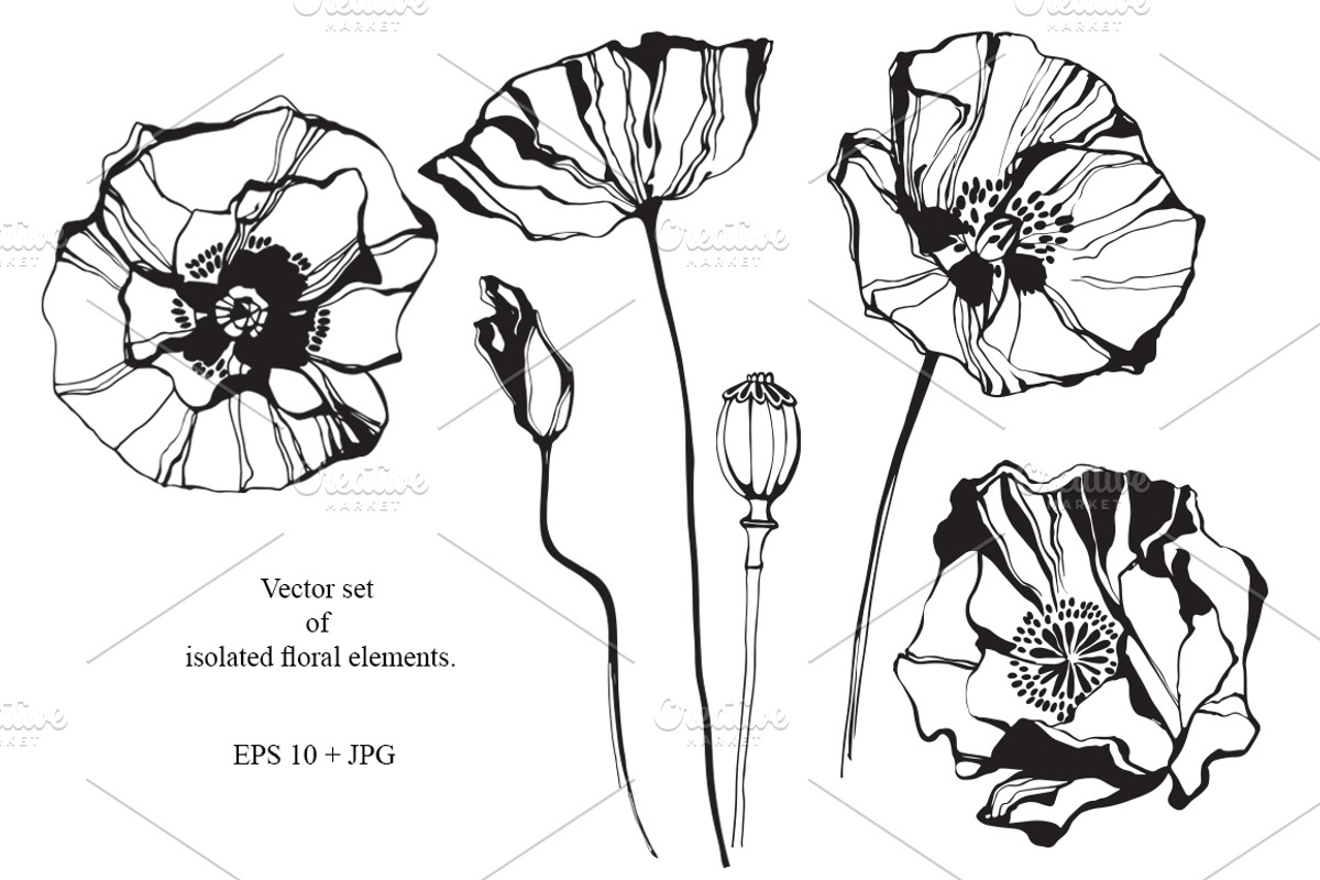 Poppy. Vector collection., an Illustration by maritime_m (Photo 4 of 4)