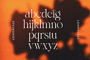 Bayari, a Serif Font by zaaintype (Thumbnail 10 of 11)