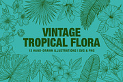 Vintage Tropical Flora Illustrations, an Object Illustration by Jaclyn Caris (Thumbnail 1 of 15)