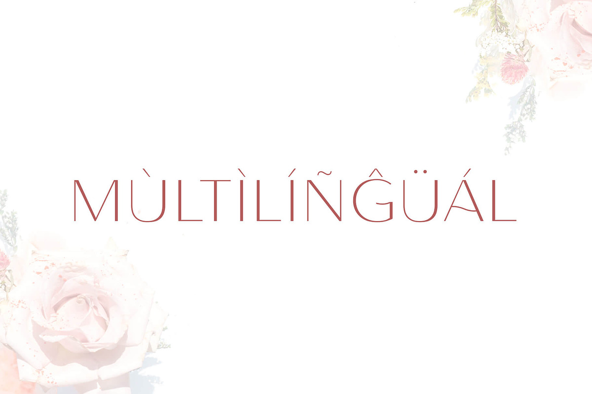 Lunates Font Family – Sans Serif, a Sans Serif Font by RC graphics (Photo 6 of 9)